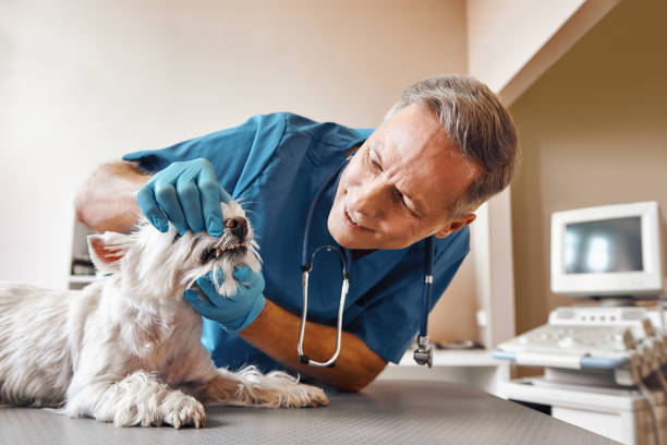 Best 24-Hour Emergency Dental Care in Elizabeth, NJ